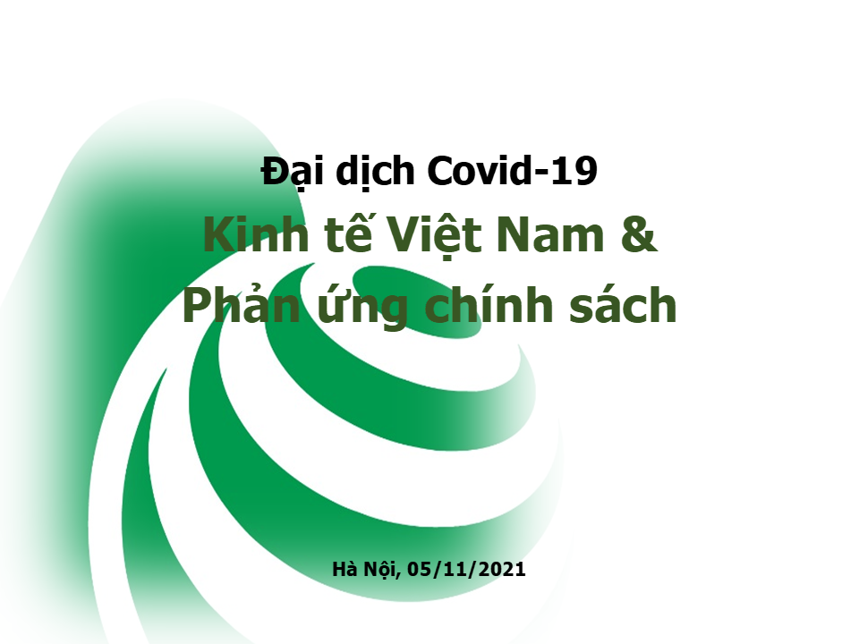 Kinh tế Việt Nam & Phản ứng chính sách (ppt)