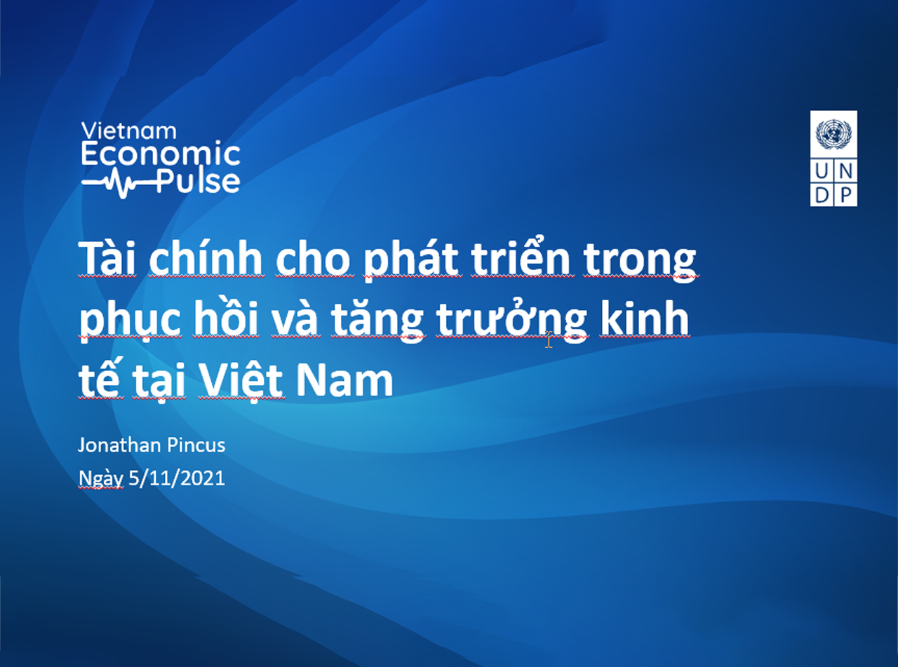 Tài chính cho phát triển trong phục hồi và tăng trưởng kinh tế tại Việt Nam (ppt)