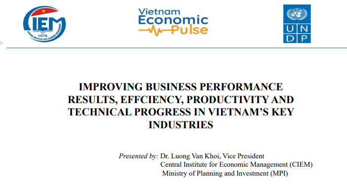 IMPROVING BUSINESS PERFORMANCE  RESULTS, EFFCIENCY, PRODUCTIVITY AND  TECHNICAL PROGRESS IN VIETNAM’S KEY  INDUSTRIES